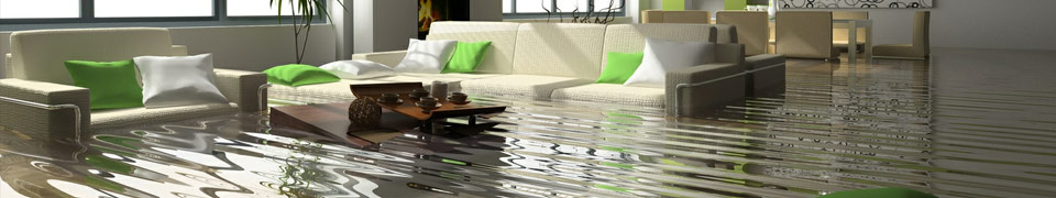 Flooded Home Carpet and Interior